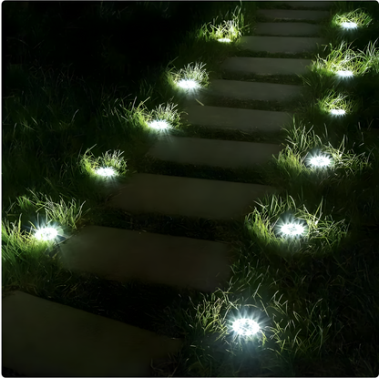 Solar Ground Lights™